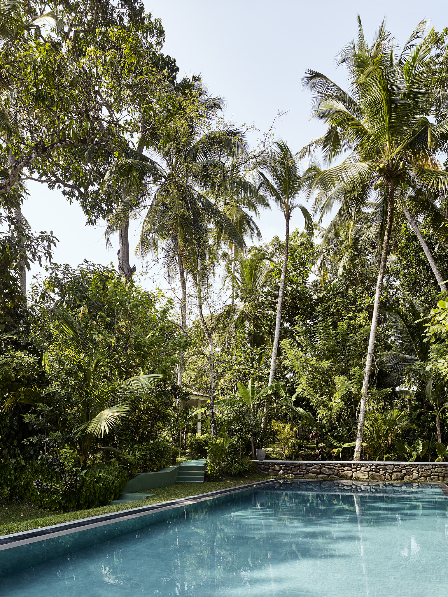 E16583 Alpa 055459 SCREEN